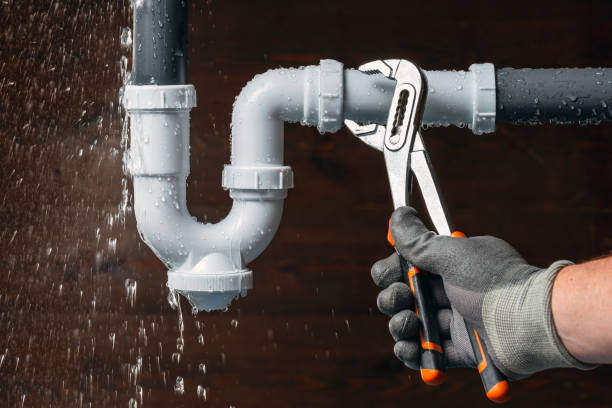 Professional Plumbing technician working in Bushnell, IL